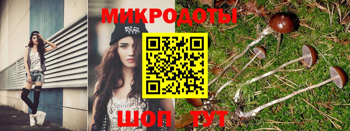 как найти закладки  Галлюциногенные грибы Cubensis  Вход с VPN  Каменск-Уральский  Псилоцибиновые грибы Magic Shrooms 