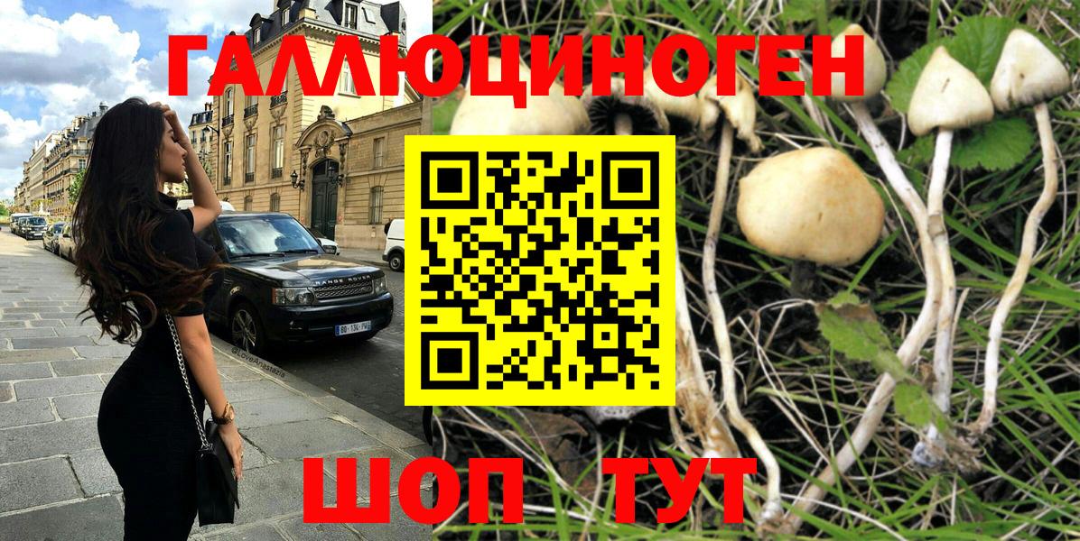 Псилоцибиновые грибы Cubensis Каменск-Уральский